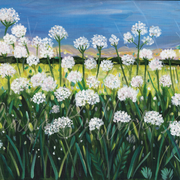 Cow Parsley - Canvas Print